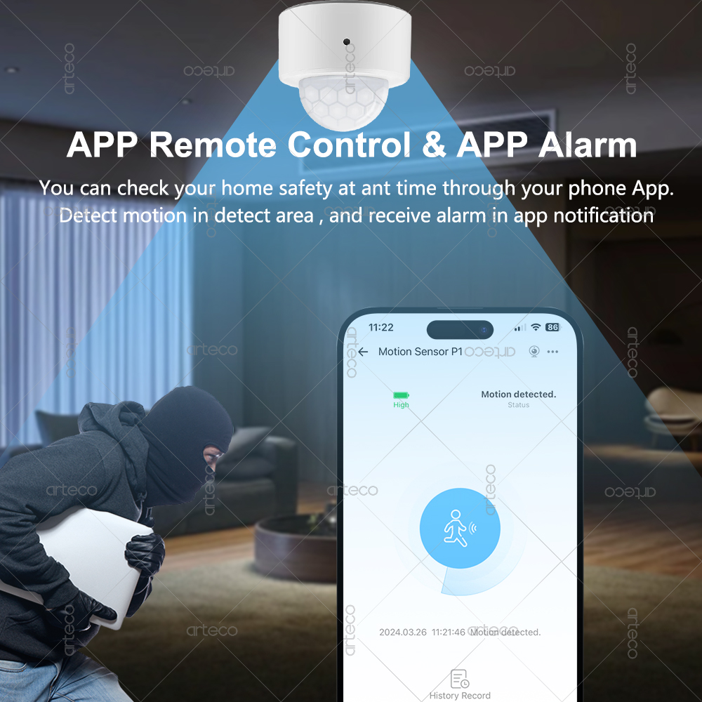 Ewelink Zigbee PIR Motion Sens - Home Security Wireless recension och pris