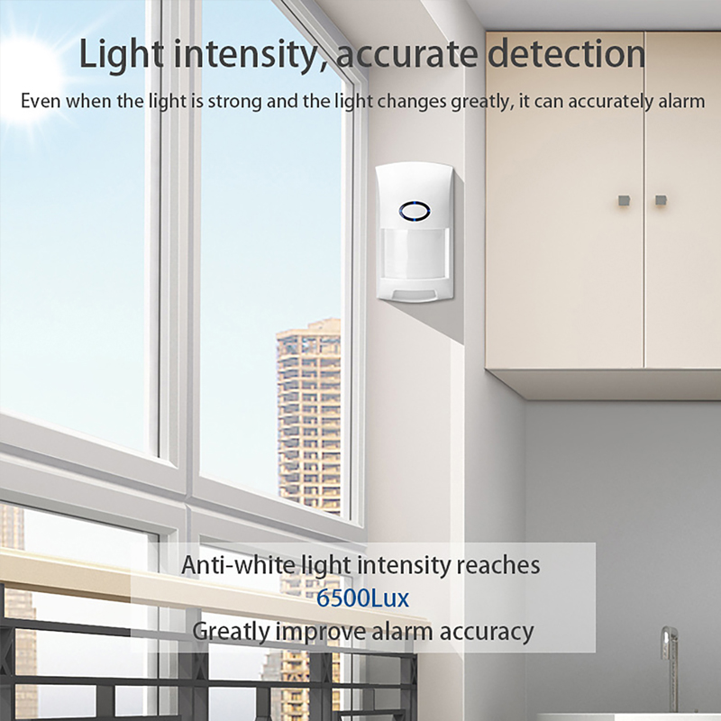 Smart Tuya PIR Motion Sensor W - Home Security System Installation recension och pris